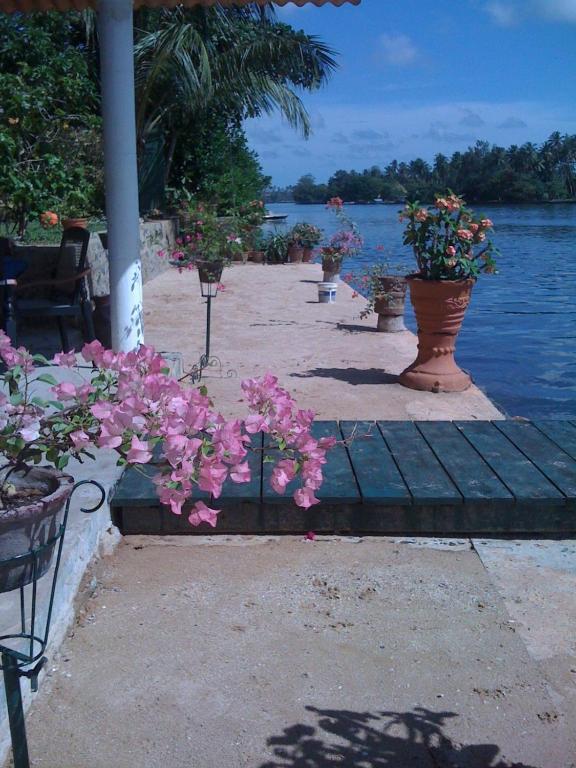 Ganga Garden Ξενοδοχείο Beruwala Εξωτερικό φωτογραφία